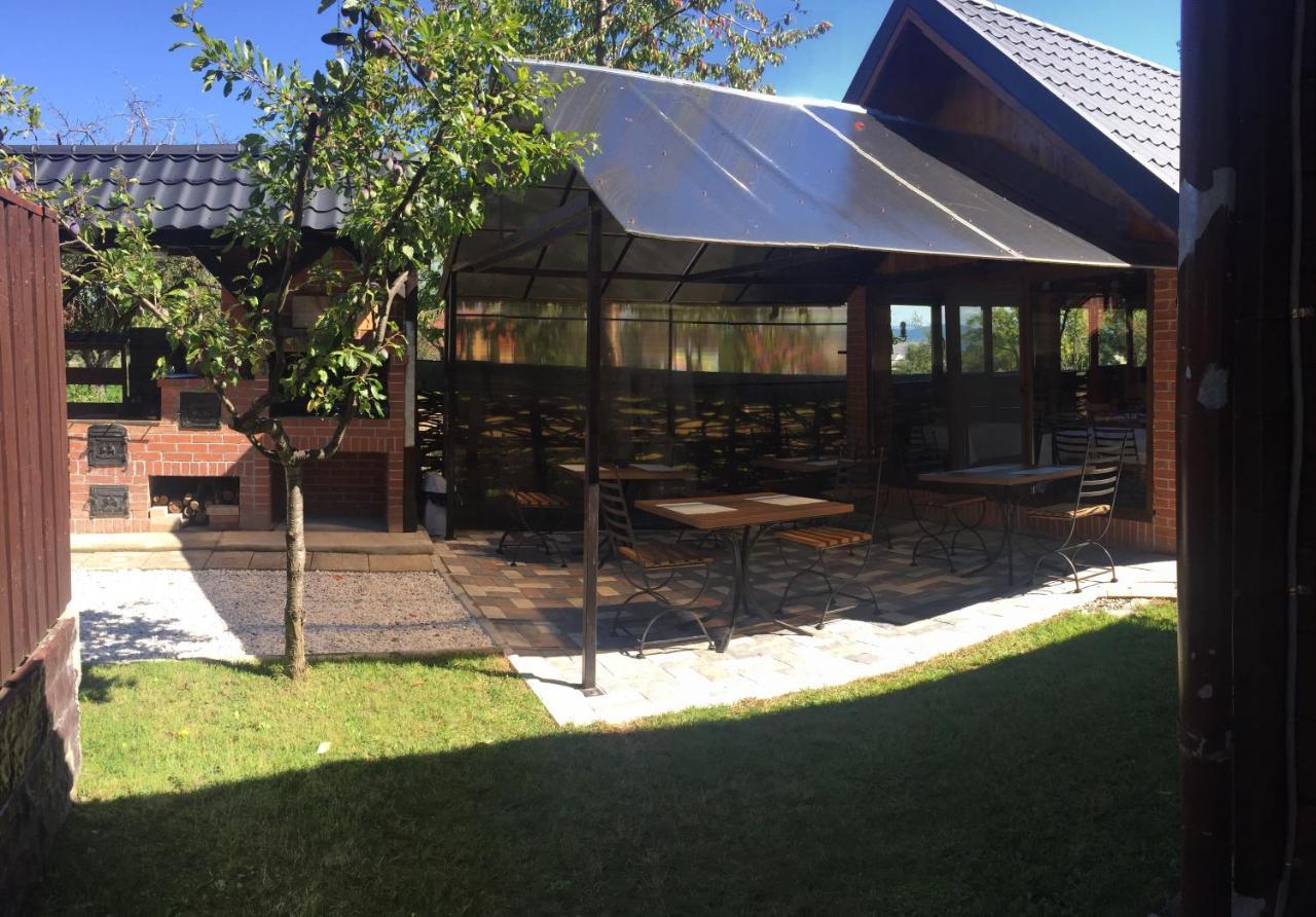 Casa Alberta Ocna Şugatag エクステリア 写真