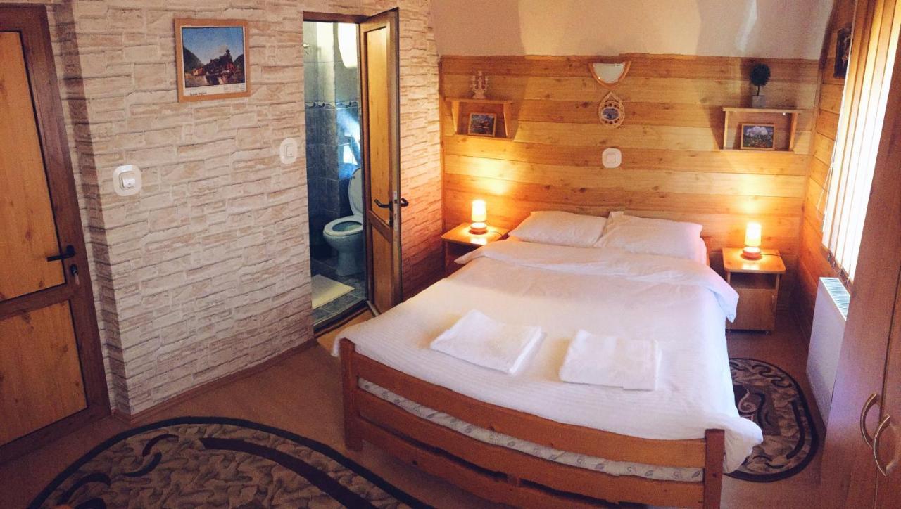 Casa Alberta Ocna Şugatag エクステリア 写真