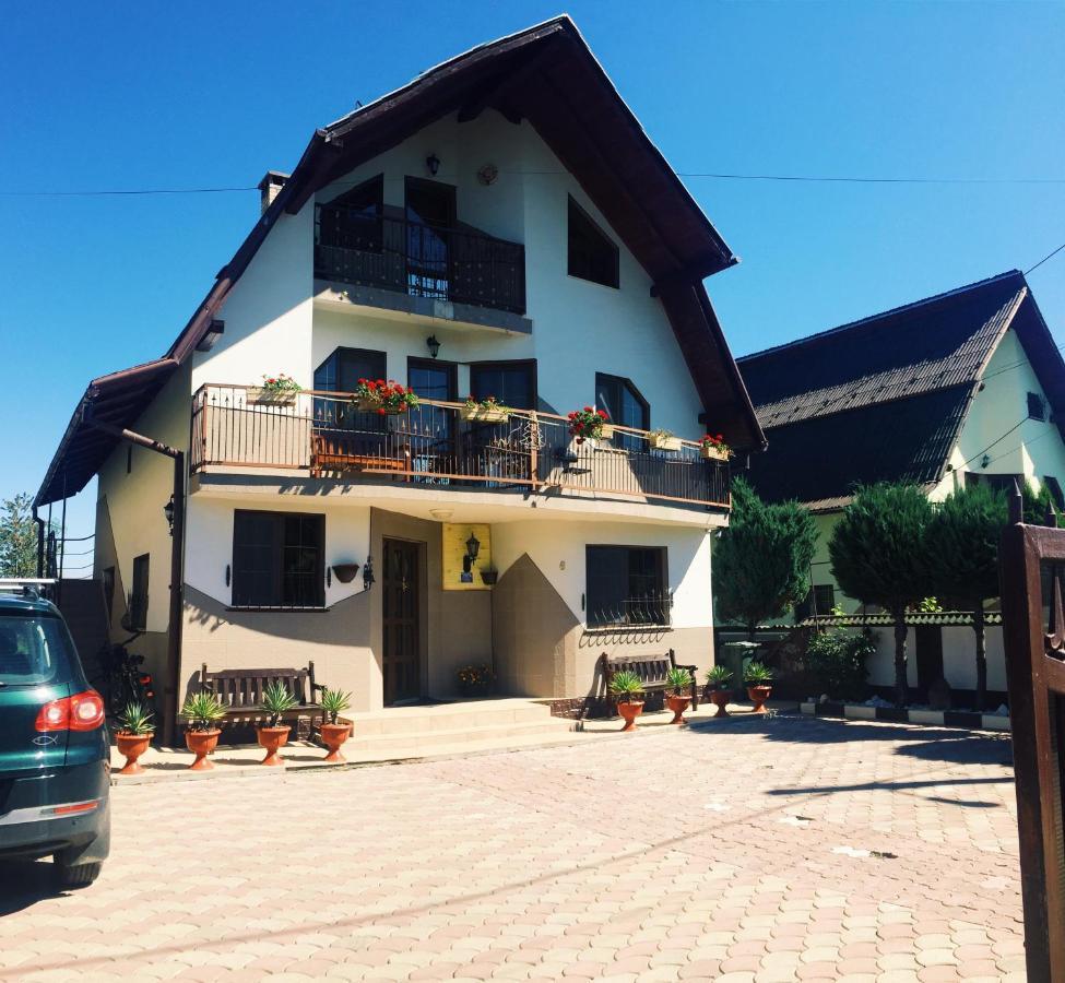 Casa Alberta Ocna Şugatag エクステリア 写真
