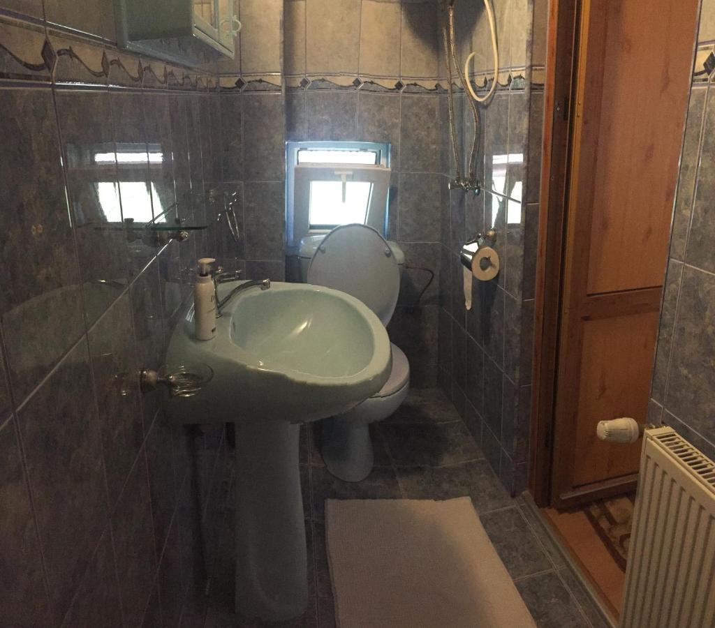 Casa Alberta Ocna Şugatag エクステリア 写真