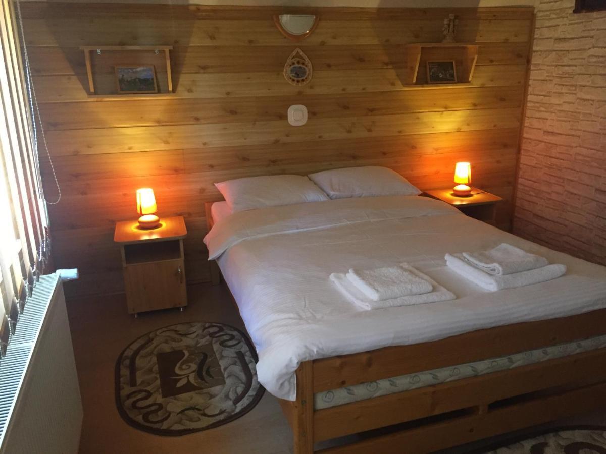 Casa Alberta Ocna Şugatag エクステリア 写真