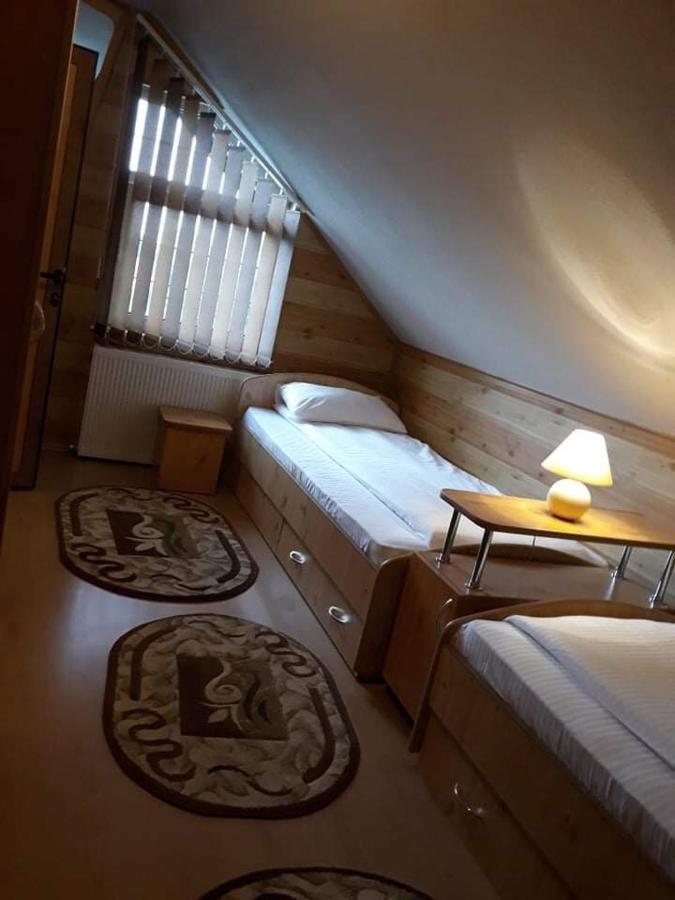 Casa Alberta Ocna Şugatag エクステリア 写真
